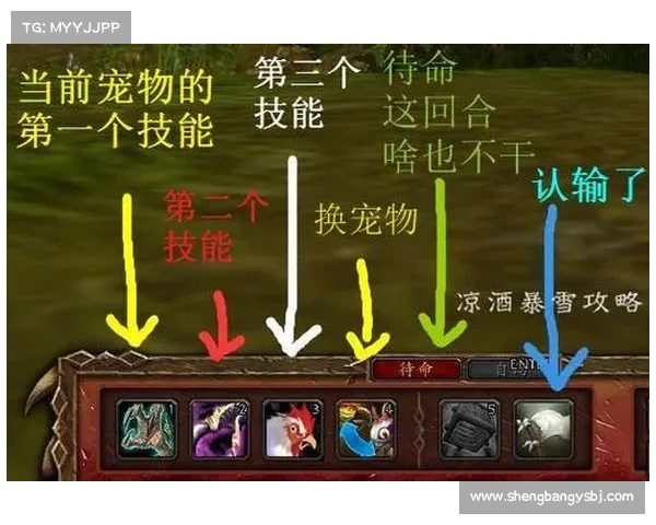 魔兽世界宝宝技能:巧妙放置技能栏 魔兽世界宝宝技能:巧妙放置技能栏